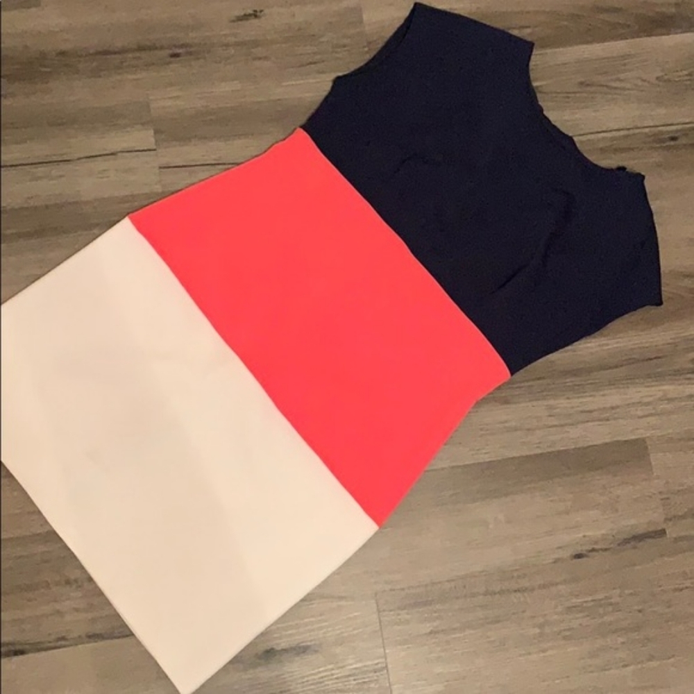 Carole Little Colorblock Dress